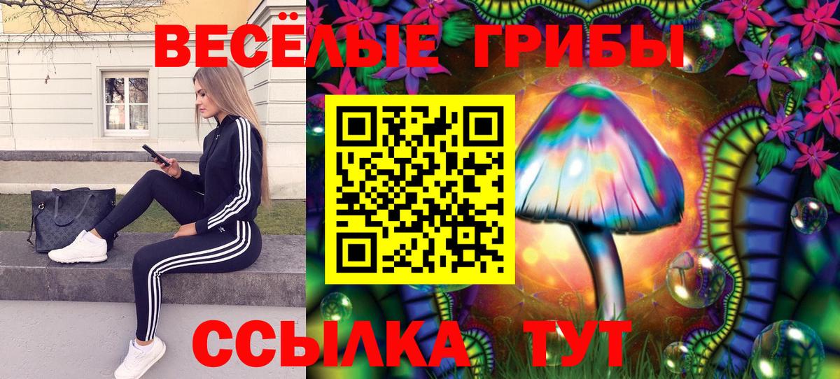 Псилоцибиновые грибы Cubensis  как найти закладки  Лениногорск  Галлюциногенные грибы MAGIC MUSHROOMS  Вход с VPN 
